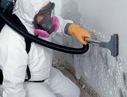 Why You Should Choose Our Mold Remediation Services in Wilson, PA